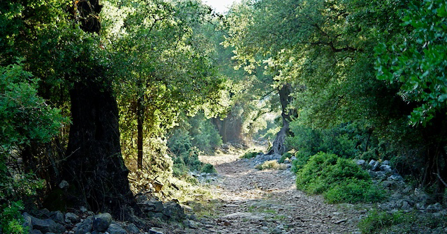 kefalonia walking trails